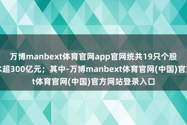万博manbext体育官网app官网统共19只个股本周总市值缩水超300亿元；其中-万博manbext体育官网(中国)官方网站登录入口