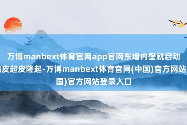 万博manbext体育官网app官网东墙内壁就启动发霉、墙皮起皮隆起-万博manbext体育官网(中国)官方网站登录入口